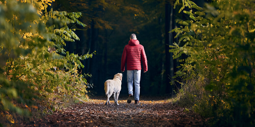 man in a red jacket walking a Labrador Retriever down a path in a forest.