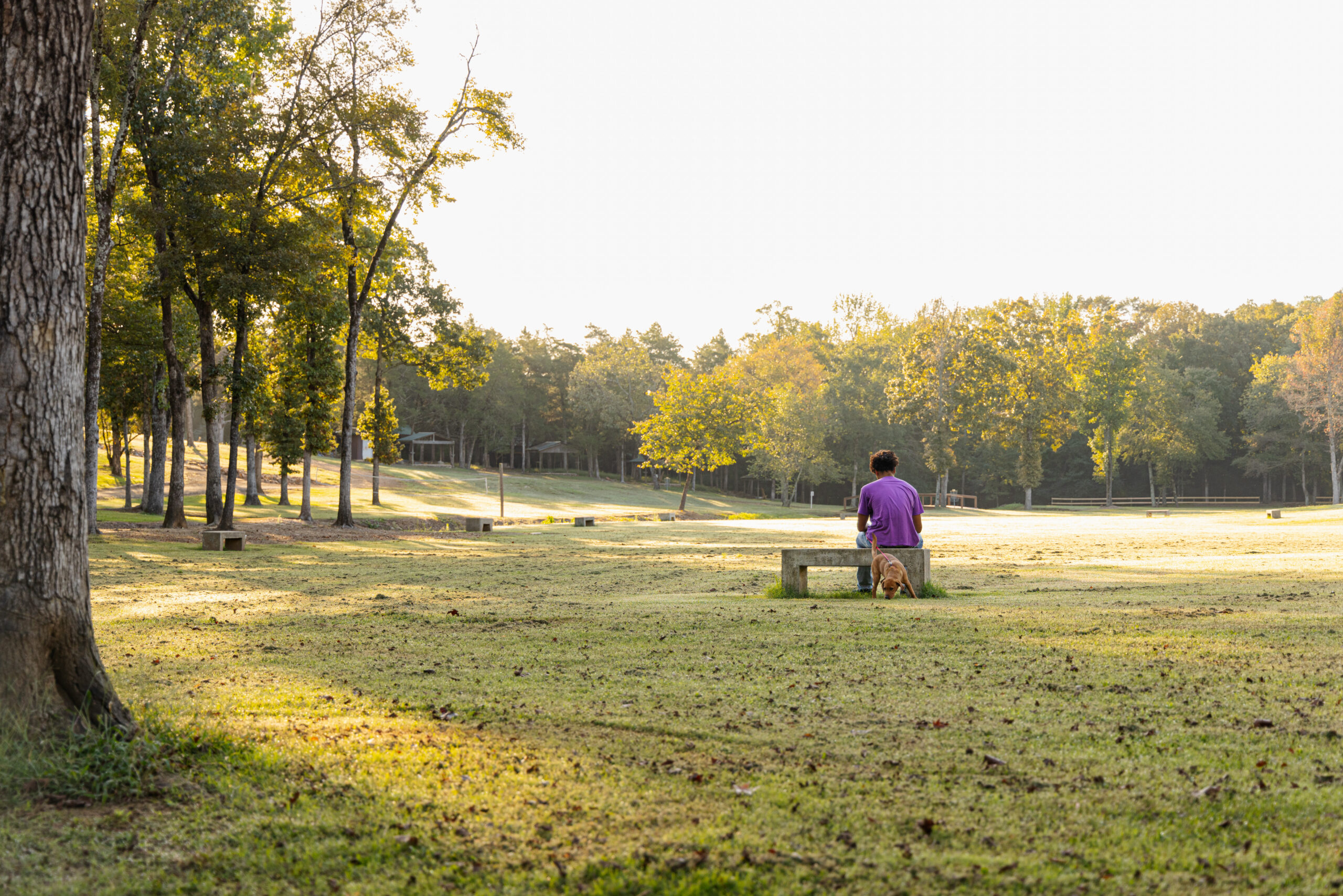 Adolescent boy sitting with puppy therapy companion in a field.